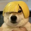 Dương Bình Phương