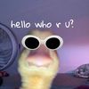amgelina_247