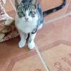 corina.cruzado