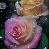 hasn.alhamad