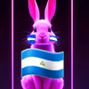 el_conejitostar