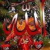 user854495591209