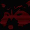 racc00nshinobi