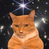 cat.galaxyy