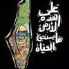 wedad.mohmad.hass