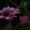 userr353577