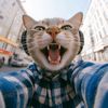 meow.woo3