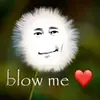 givemiaknif3