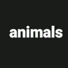 wonderfulanimals17