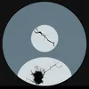 yng_anish_me