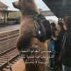 .hanaayousef22some.2