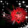 bch.nguyn1270
