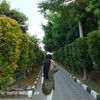 ae_nunnn