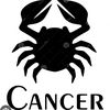 cancerboy8425
