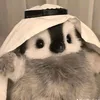 ngaanxin4