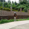 isafranz.taburnz