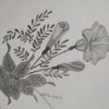 sketsasetia