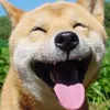 TÌM HIỂU VỀ NHẬT BẢN