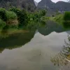 inh.hong29