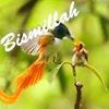 ahmad.w23