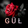 gul_0_95