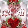 basitshahzad497