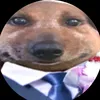 capybara6893