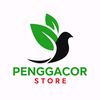 penggacor.store