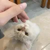 minhlamikee
