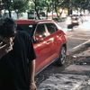 masfebritbn