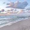 عبود