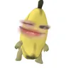 htnq_nq
