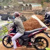 nguyenduythien76.b1
