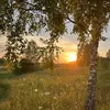 sf_ddekjiev21