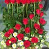 hieu7123456789
