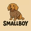 shopsmallboynyc
