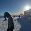 nealainen