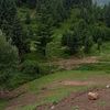 razim.wazir0