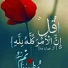 user7459083741734