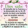 user6279332342810