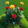 hakim.ofissyal