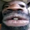 bielxls7