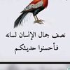 user5782551803404