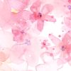 yasmin.elik0