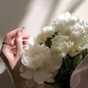 zfhk_h19