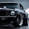 mohamed_am001