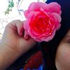 salahlahmone