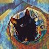 giyo.cat