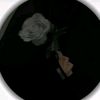 user8634473080080