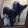 susan.lambert77